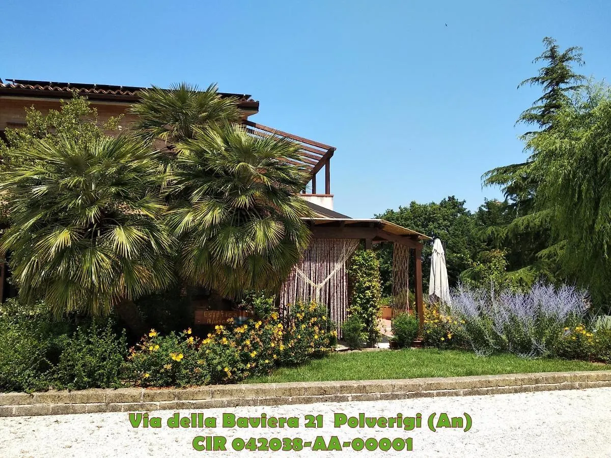 Soggiornare nelle Marche: 8 Hotel 4 Stelle a Confronto